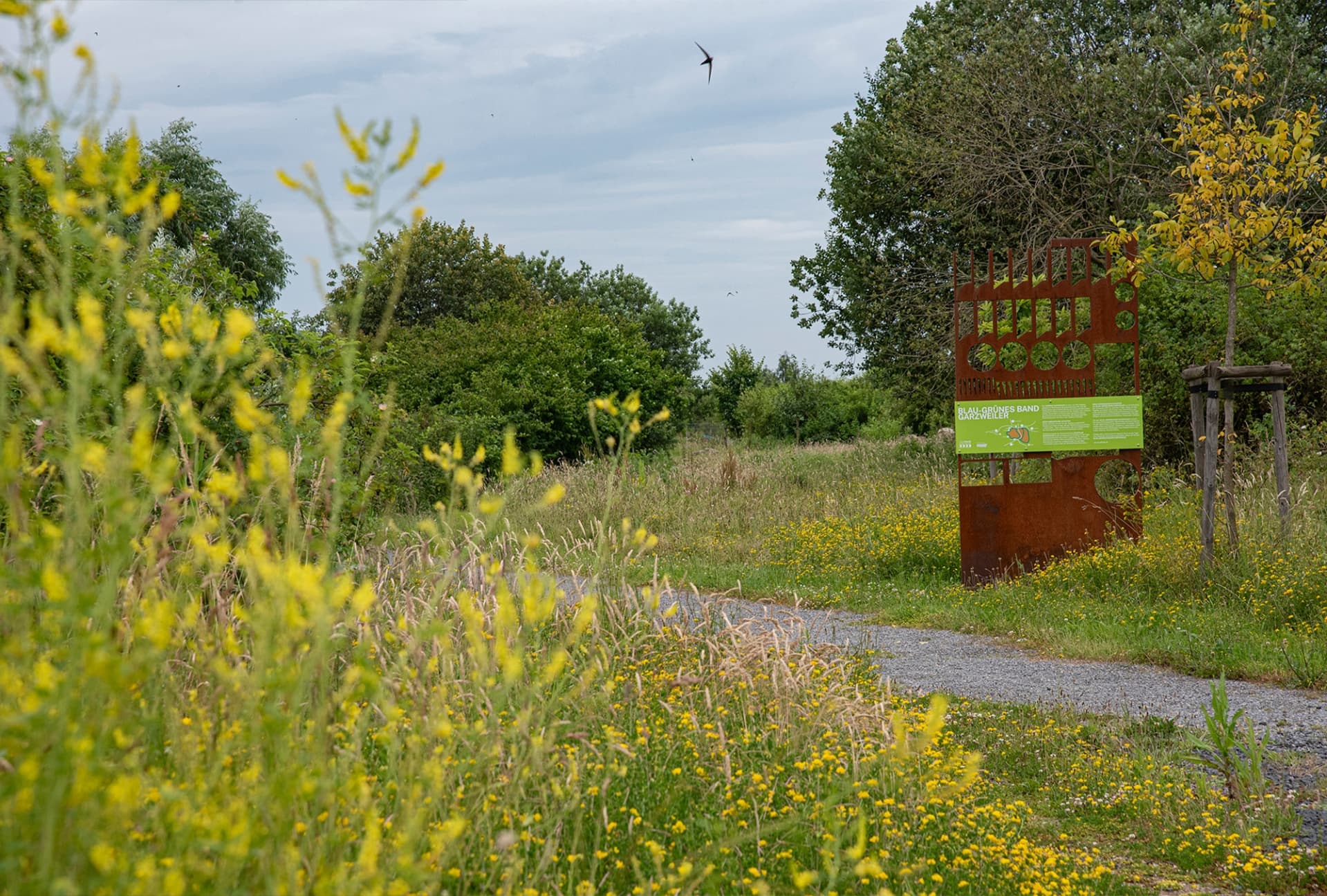 Präsentation: blau-grünes Band bei Holzweiler